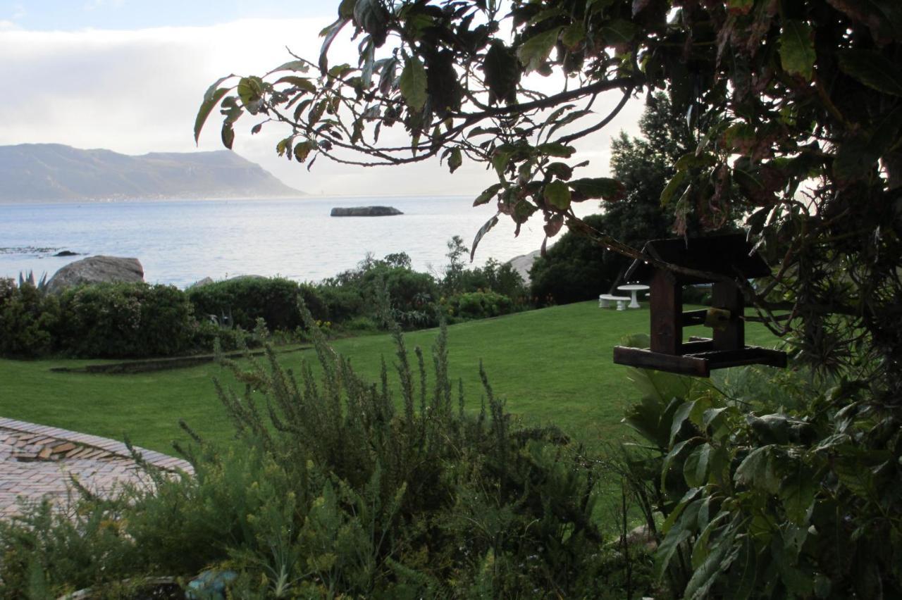 Bosky Dell On Boulders Beach Simon's Town Exterior photo