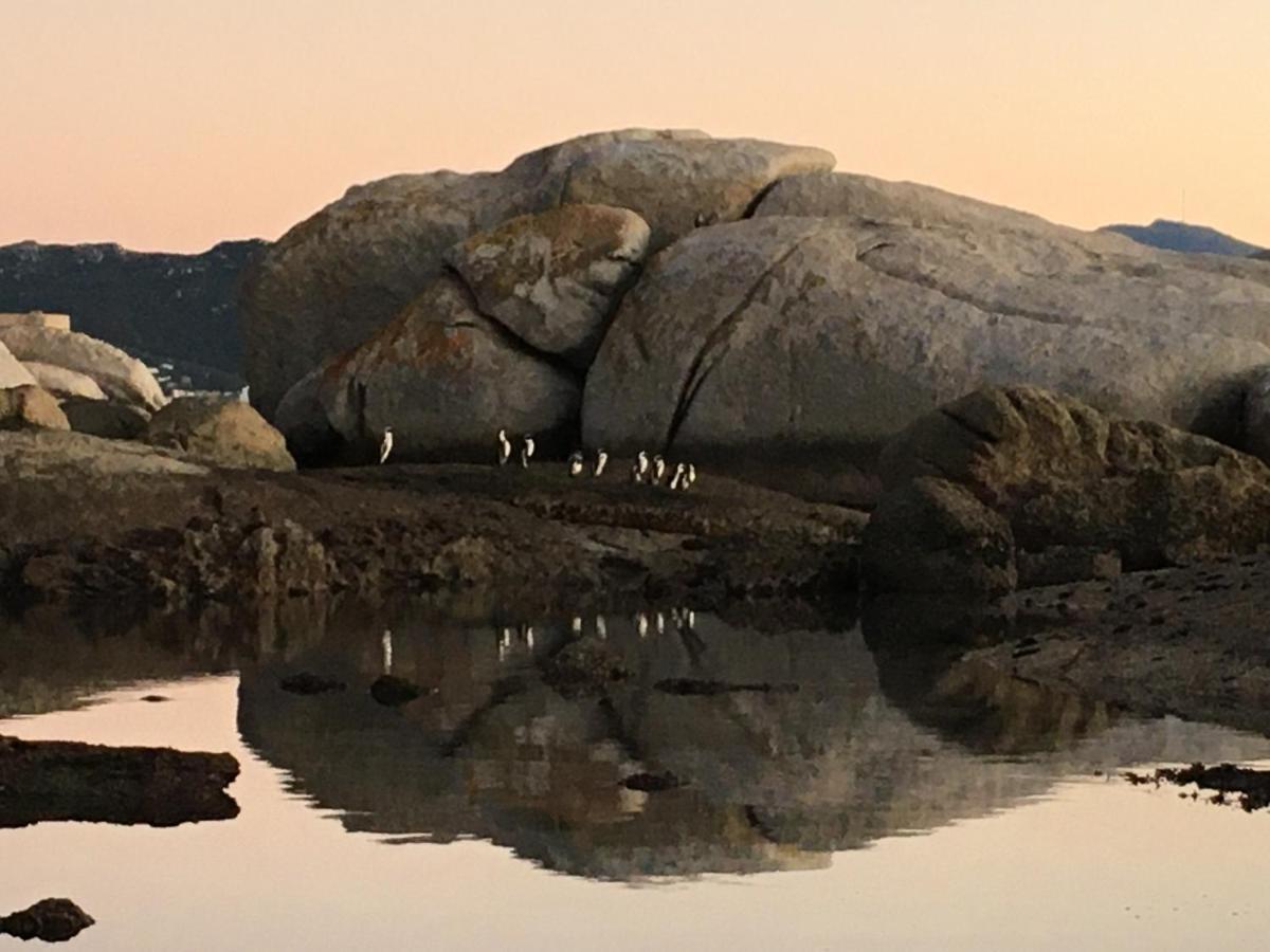 Bosky Dell On Boulders Beach Simon's Town Exterior photo