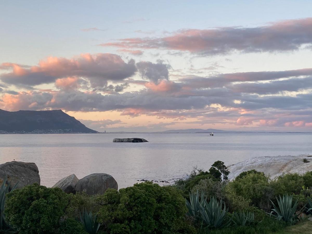 Bosky Dell On Boulders Beach Simon's Town Exterior photo