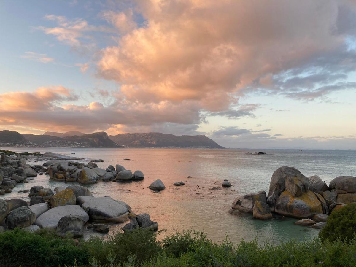 Bosky Dell On Boulders Beach Simon's Town Exterior photo