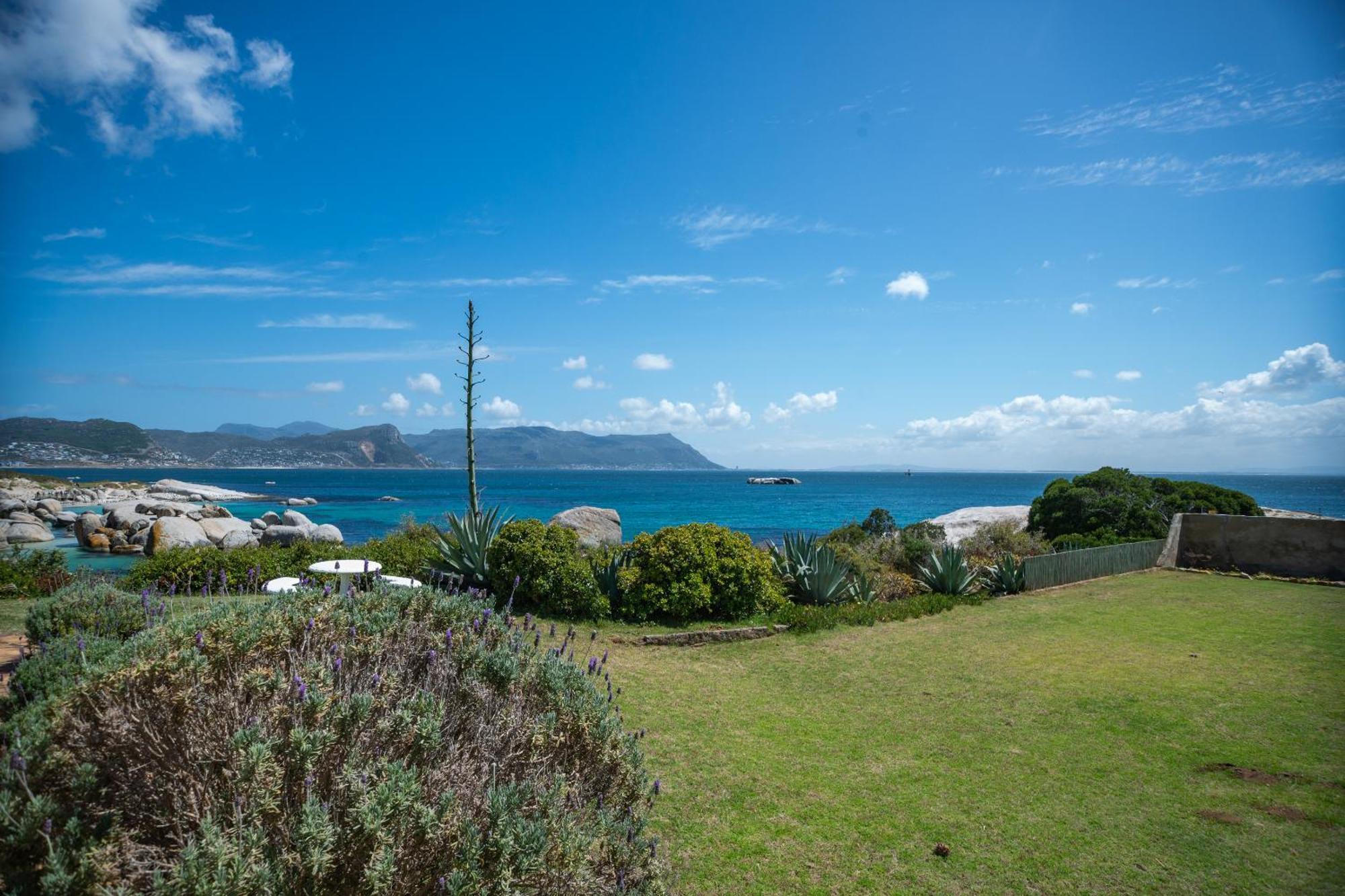 Bosky Dell On Boulders Beach Simon's Town Exterior photo